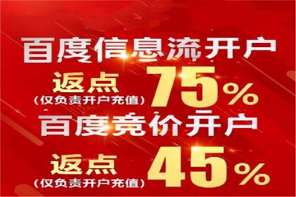 百度优化推广策略解析与应用案例